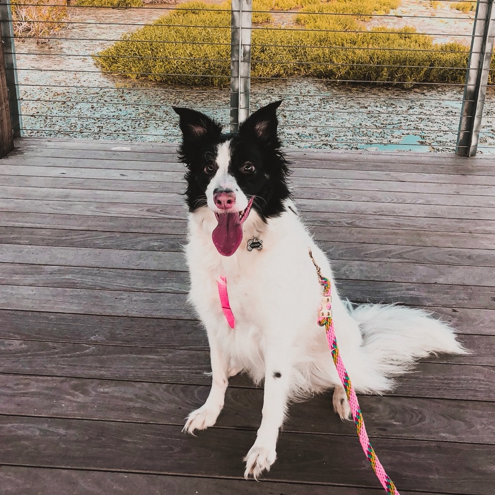 Meet your Posher, Maegan